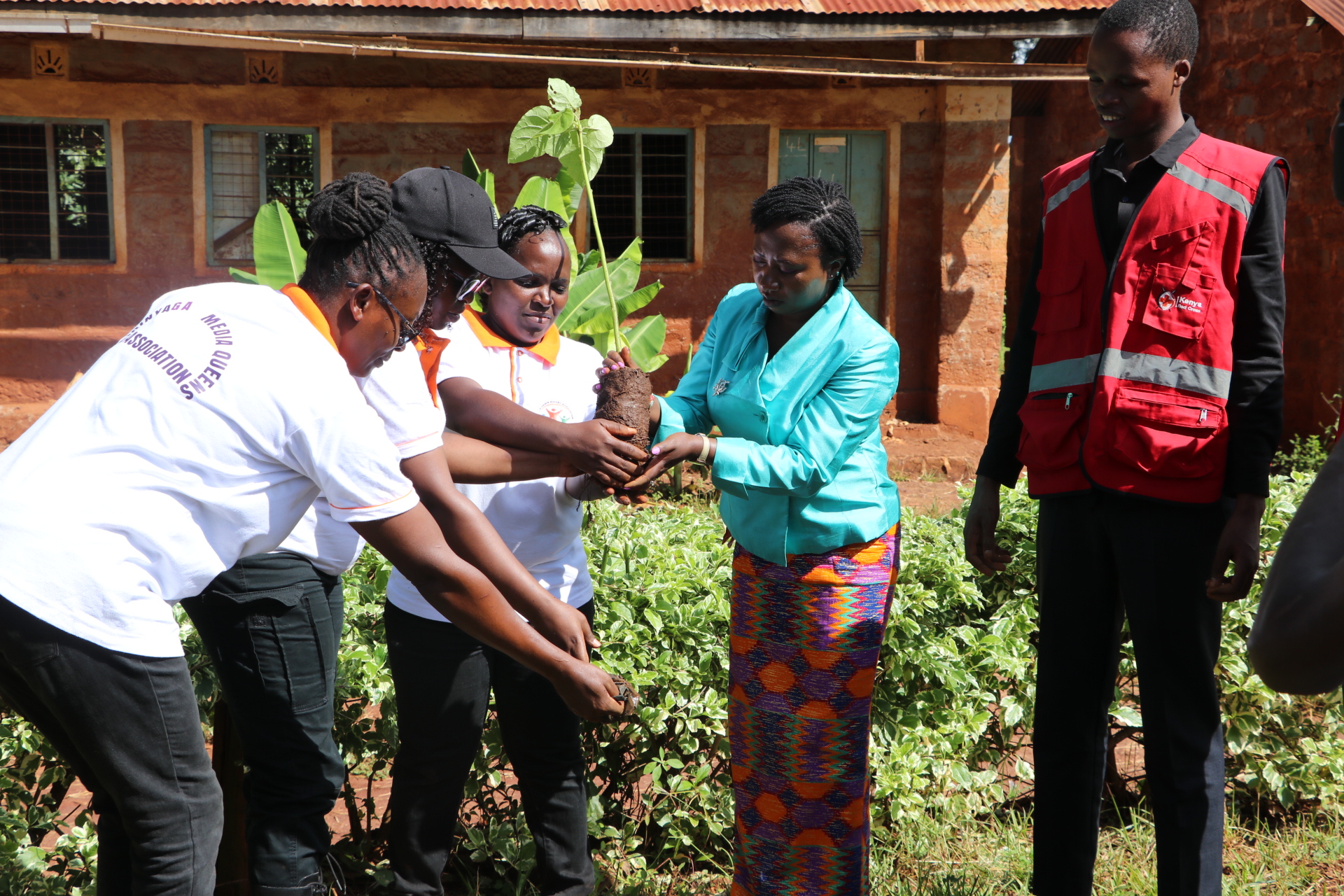 Female Journalists Plant 250 Fruit Trees in Kirinyaga, Call for Government Protection of Women in Media.