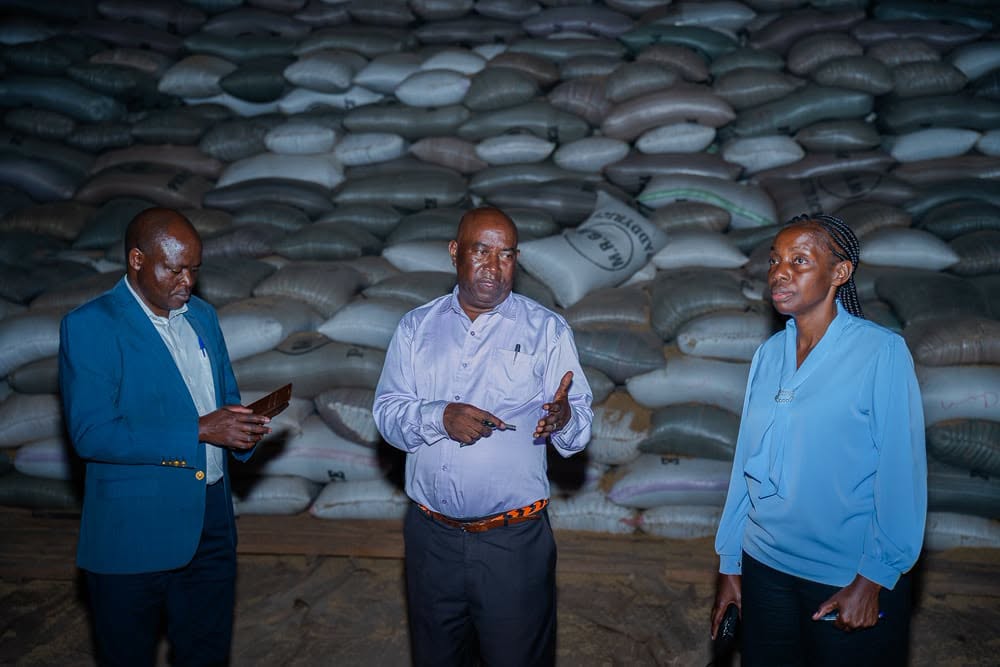Government Moves to Clear 60,000 Bags of Mwea Rice in Boost for Local Farmers.